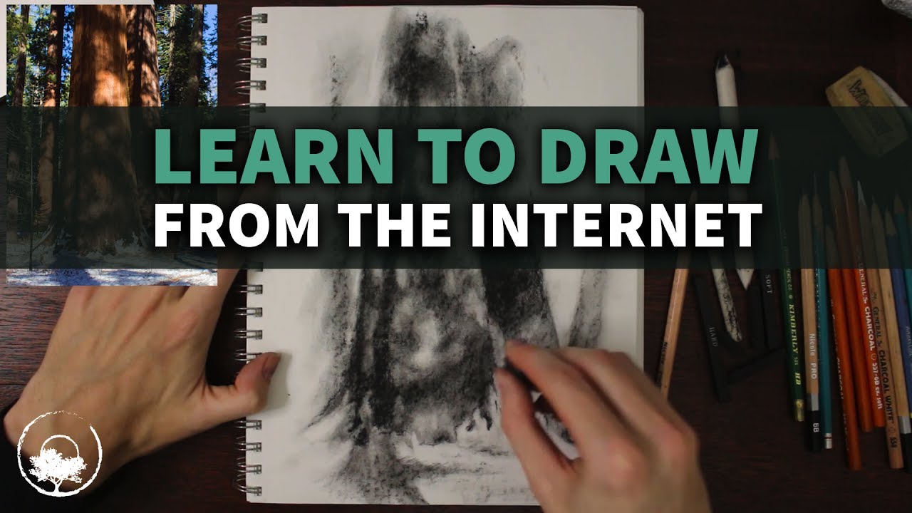 Learning to Draw From the Internet + Time Lapse SchaeferArt
