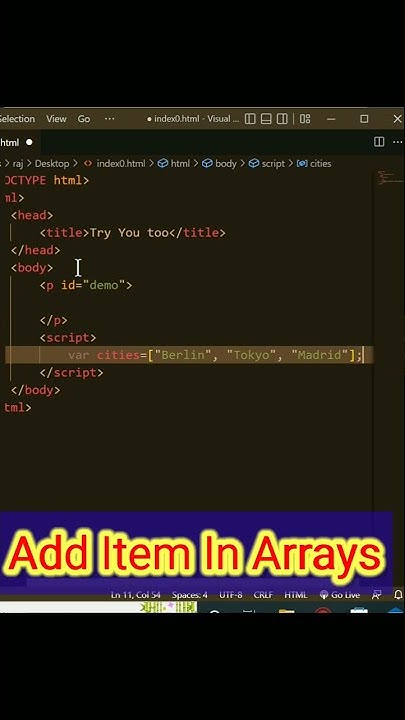 Add Item in Arrays | how to add item in array in javascript | push ...