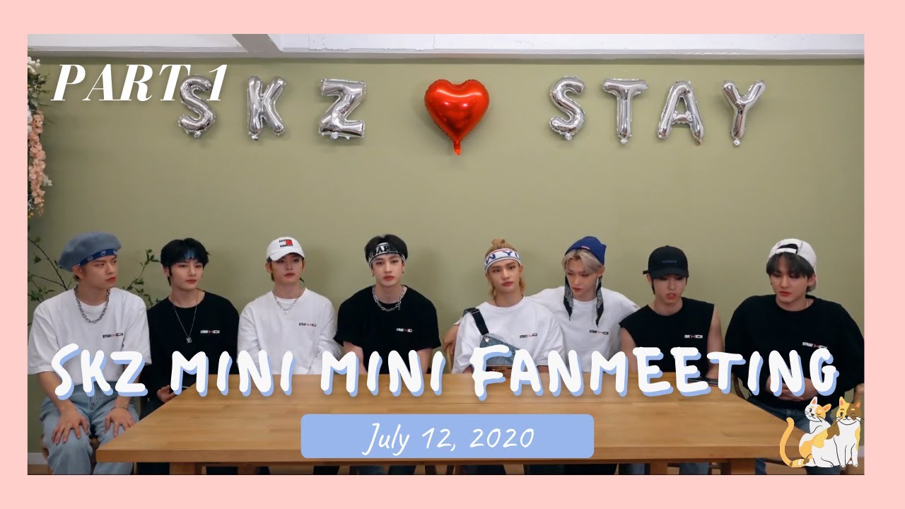  OT8 Live: SKZ Mini Mini Fanmeeting Part 1