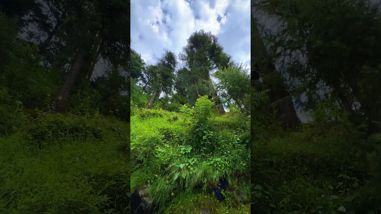 Mankial , Swat Valley 