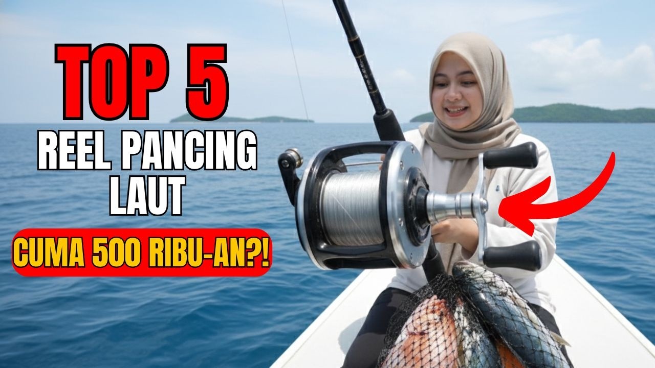 5 Reel Pancing Laut 500 Ribuan Terbaik 2026! (Tahan Karat)