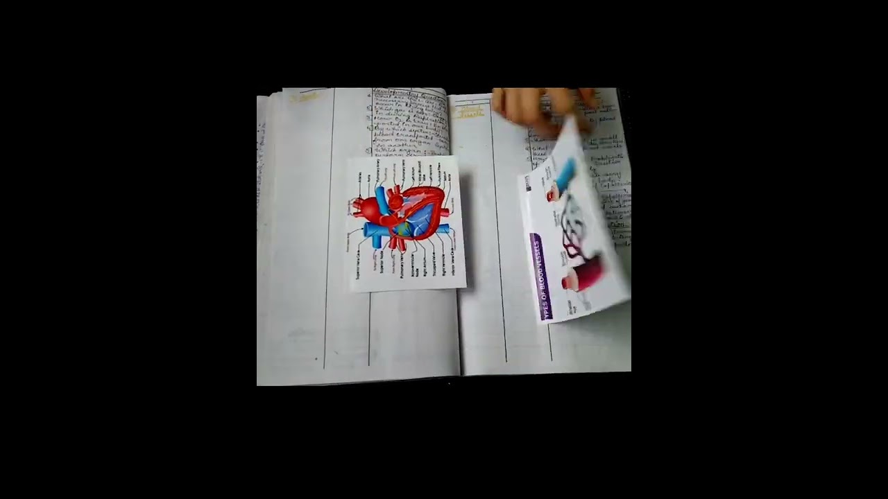 B.Ed 1st year | Lesson plan diary | Biology