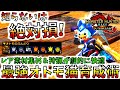 徹底解説!!ぶんどりでMRレア素材2枚も可能な狩猟がガチ快適になる、おすすめ3タイプ＆サポート行動組合せ紹介。最強オトモアイルー育成術【モンハンサンブレイク/モンスターハンターライズ