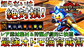 徹底解説!!ぶんどりでMRレア素材2枚も可能な狩猟がガチ快適になる、おすすめ3タイプ＆サポート行動組合せ紹介。最強オトモアイルー育成術【モンハンサンブレイク/モンスターハンターライズ