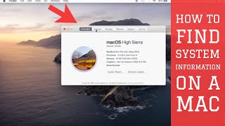 How to Find System Information on a Mac 2020 Content