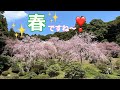 【 花見 】  各地の「桜」スポットを撮影しました♪