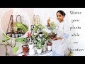 This idea will water your plants while on vacation | छुटियों पे जाने से पहले, कर दें ये काम