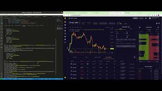 Risk Manager: Solana Summer Camp Hackathon Demo