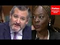 How many members of the us senate are white supremacists ted cruz grills biden judicial nominee