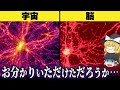 【気づいてしまった】宇宙って実は 生物の脳細胞なんじゃね？【ゆっくり解説】