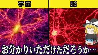 【気づいてしまった】宇宙って実は 生物の脳細胞なんじゃね？【ゆっくり解説】