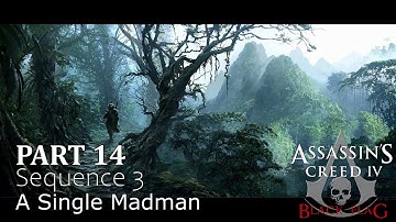 #14 "A Single Madman" Assassin
