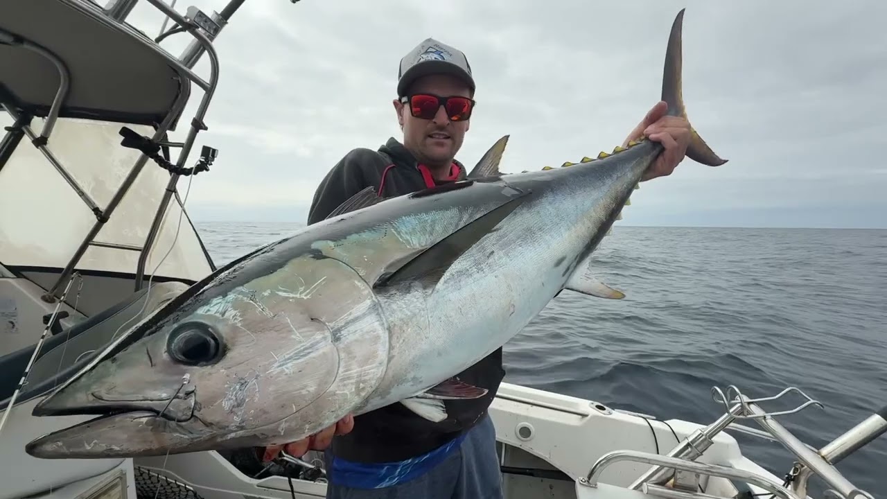 Trolling and Popping Bass Strait Tuna!!