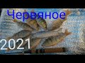 озеро Червяное рыбалка на Сига а 2021 году