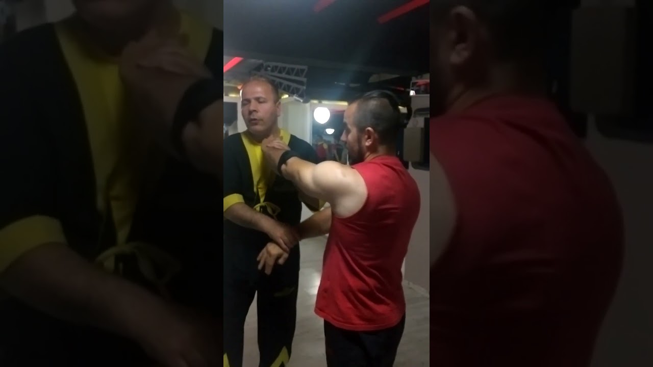 Sigung Hasan &Ccedil;if&ccedil;i | Sifu Emre Kosif  #wingchun