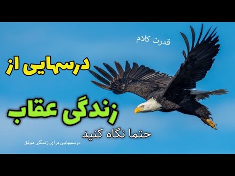 تصویری: عقاب ها چند سال دارند؟