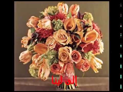 يا ورد على فل وياسمين