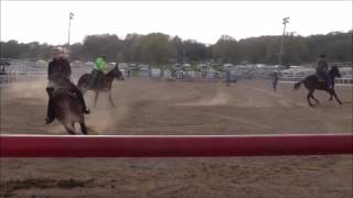 Mule Racing