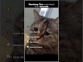 Ranking The Weirdest Cat Meows #shorts #ranking #funny