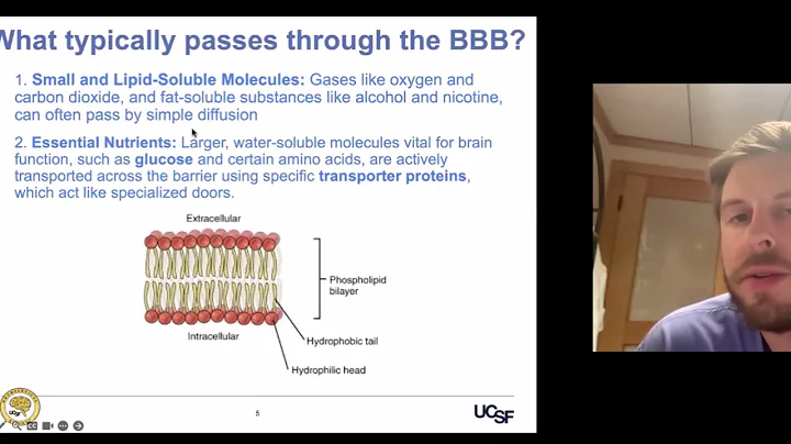 Cracking the Brain’s Security Gate: The Blood-Brain Barrier and Brain Cancer Treatment