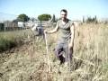 Cómo preparar la tierra antes de la siembra