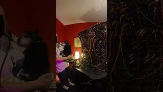 #DotCompetition2023 Synthesizers Dotcom q119 clocked by Chaos module & my dog insisted on being held