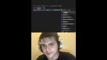 Noob vs. Pro: Count Words in a Sentence in C# 🧠📝