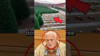 City Cut Down His Christmas Tree Farm! 😱