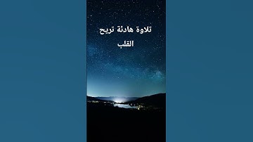 تلاوة هادئة تريح القلب للقارئ إسلام صبحي#القران_الكريم #elmulquranعلم #تلاوة_خاشعة #اكسبلور #المصحف