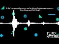 [BONUS] A dark energy discovery and a thirsty hydrangea mystery: Tiny Show and Tell Us #3