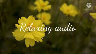 Relexing audio music feeling not mutual [zami relaxing music] screenshot 1