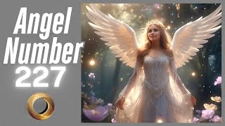 Angel number - 227 Net Worth