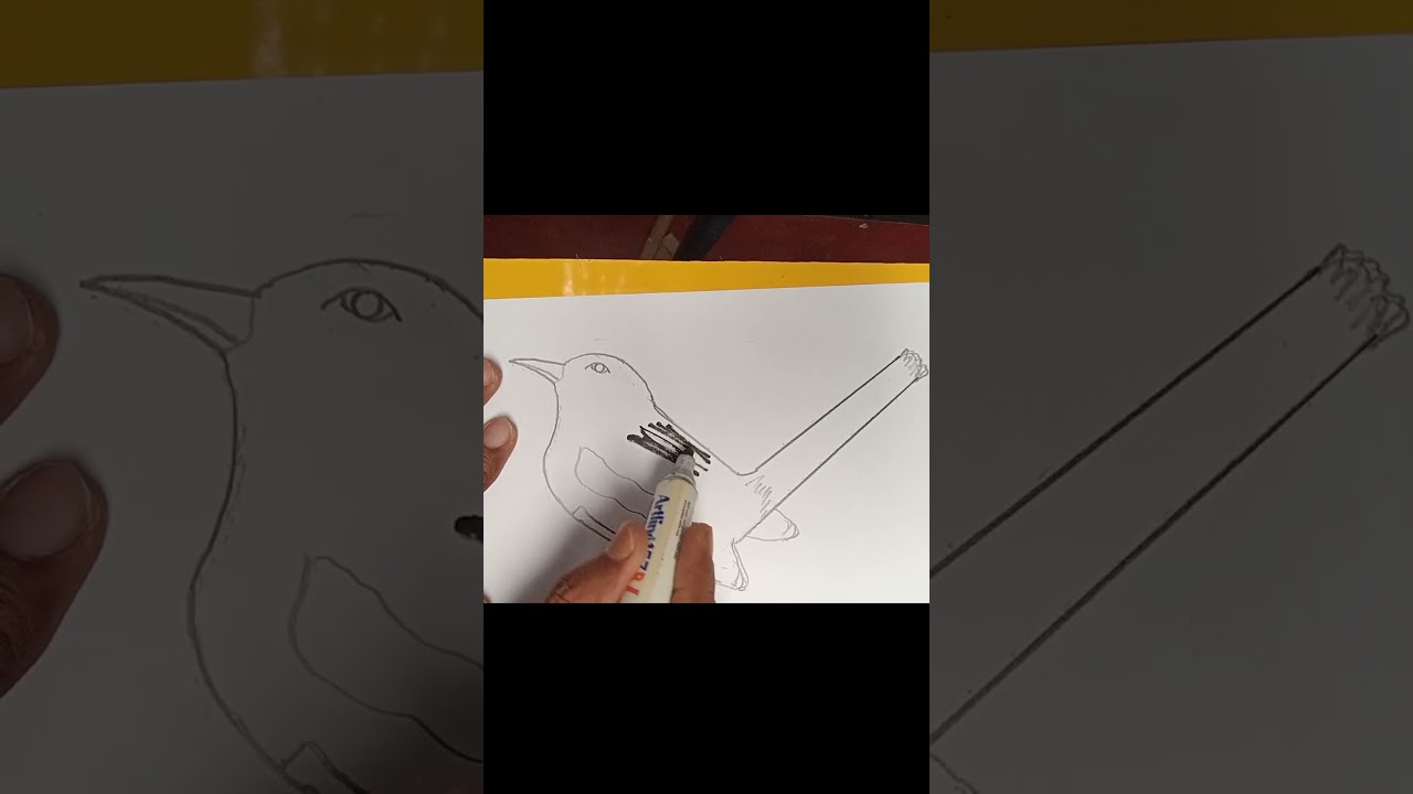 magpie drawing easily 