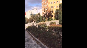 INTRODUCING YEDITEPE UNIVERSITY + ROOM