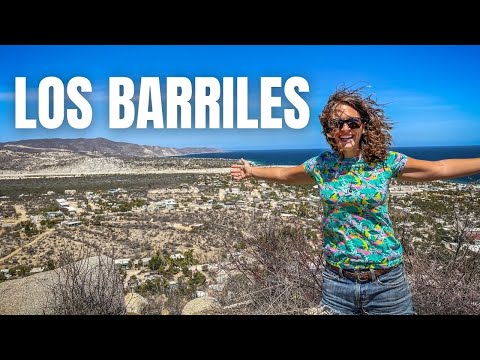 ANOTHER Reason to Love Baja California Sur - Los Barriles Mexico