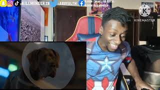 Strays | Official Trailer [HD] - Reaction