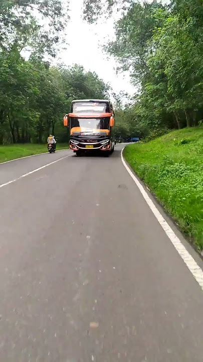 story'wa bus PO Haryanto raja Salman terbaru #shorts