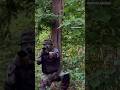Nebūk kaip Stasys👎Būk pasiruošęs 🫡 #lietuva #karys #army #survival #funny