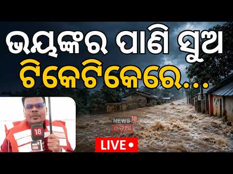 Live କେଉଁ ଅଞ୍ଚଳ ବିପଦରେ? Salandi River | Odisha Flood News | Flood Alert | Odisha Weather News