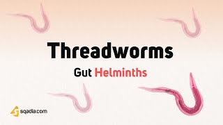Gut Helminths | Threadworms