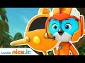 Top Wing | Lo mejor de Swift - parte 2 🐦| Nick Jr.