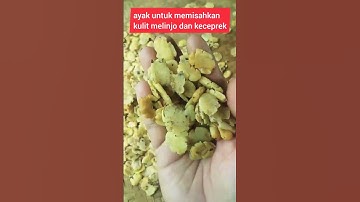 Thumbnail of Bikin Keceprek melinjo | Keceprek balado pedas manis | #shorts
