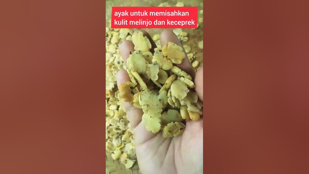 Bikin Keceprek melinjo | Keceprek balado pedas manis | #shorts