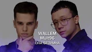 WALLEM, Mult96 - Она безумна