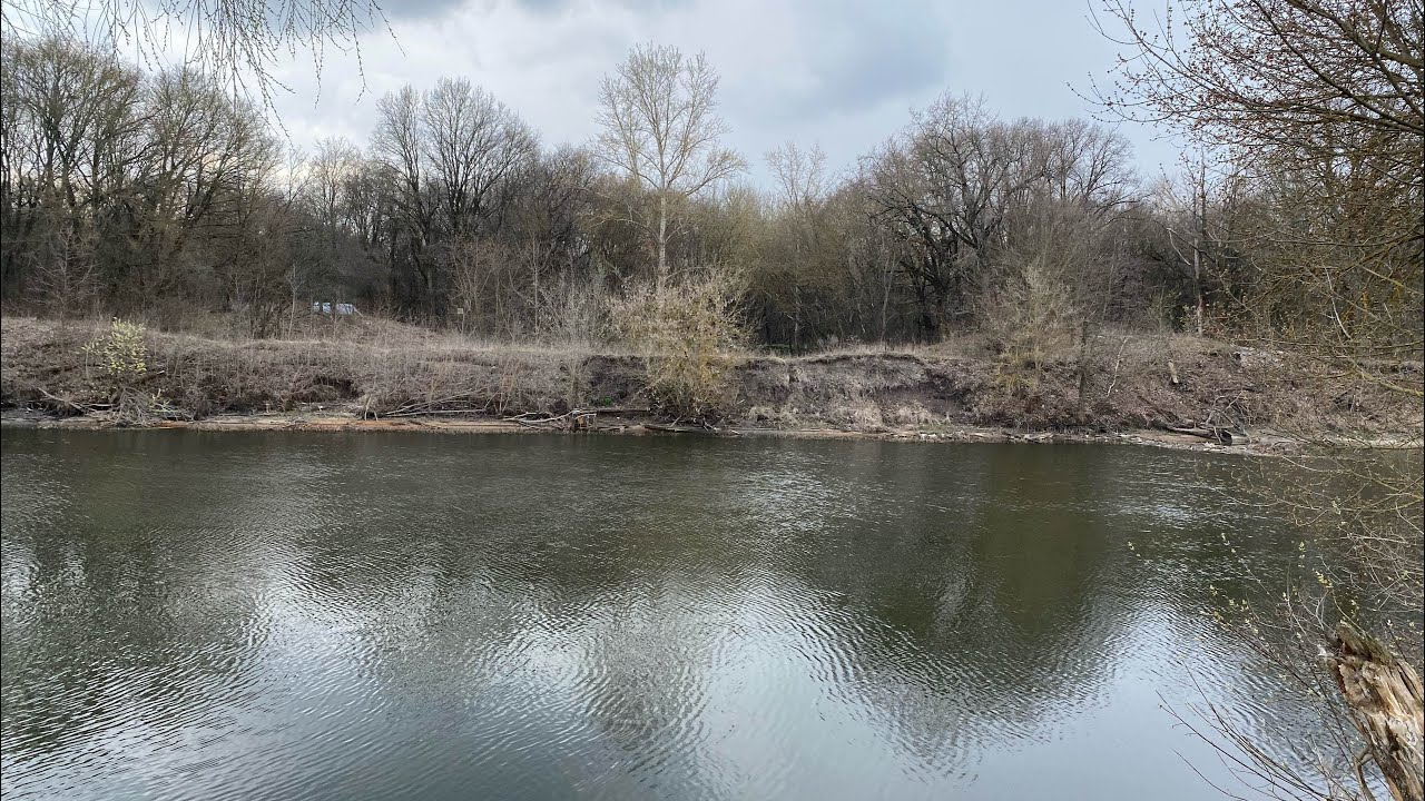 Зачем нужны дети. Ответ на тупые вопросы блогеров.