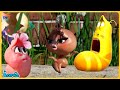 Larva full episode new movies  comedy new version  funny cartoon box top 50