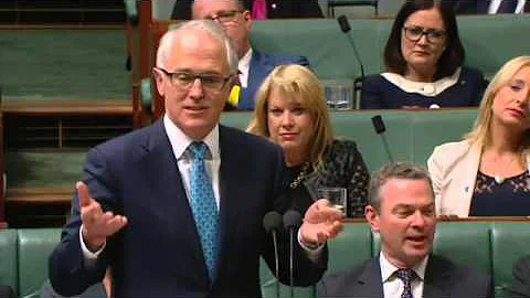 Plibersek accuses PM Turnbull of mansplaining duri...