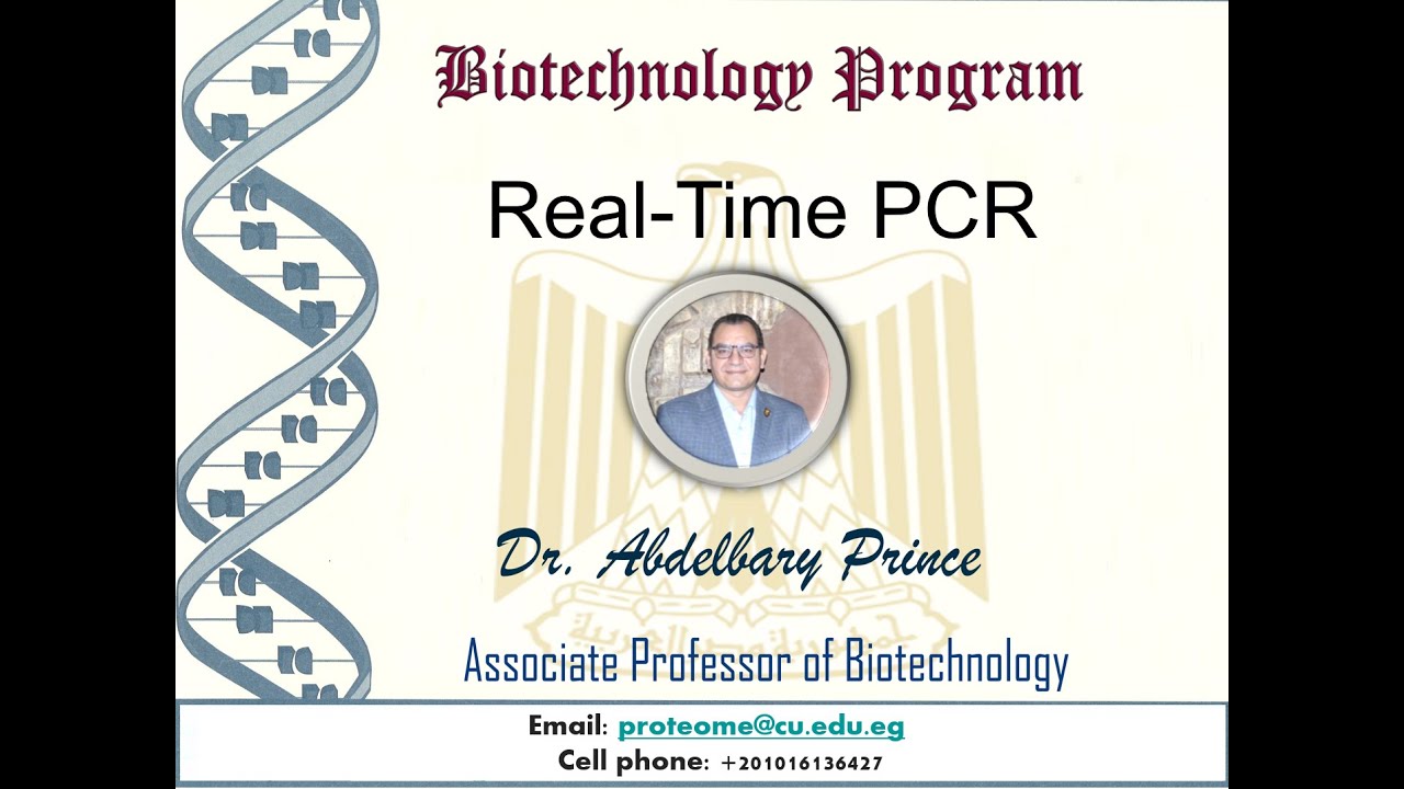 Real Time PCR Lecture (Part 2)