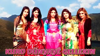 Kurd Dünyaye Gelekın - Kürtçe Hareketli Govend Kurdish Folk Music