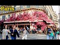 🇫🇷  Walking tour in Paris: "Rue de Rivoli" [ 2025 ] "Walking tour [4k]
